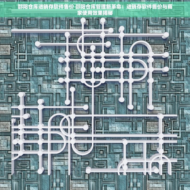 邵阳仓库进销存软件售价 邵阳仓库管理新革命：进销存软件售价与商家使用效果揭秘