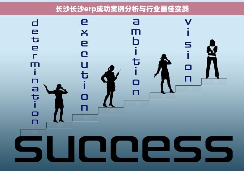 长沙长沙erp成功案例分析与行业最佳实践