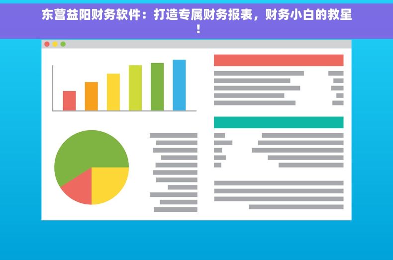 东营益阳财务软件：打造专属财务报表，财务小白的救星！