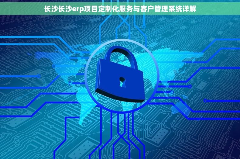 长沙长沙erp项目定制化服务与客户管理系统详解