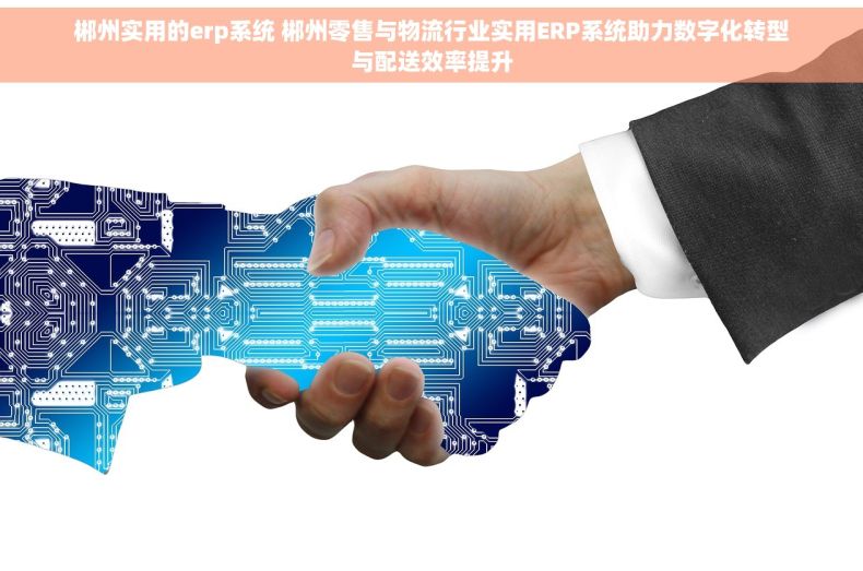 郴州实用的erp系统 郴州零售与物流行业实用ERP系统助力数字化转型与配送效率提升