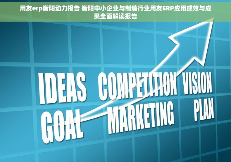 用友erp衡阳动力报告 衡阳中小企业与制造行业用友ERP应用成效与成果全面解读报告