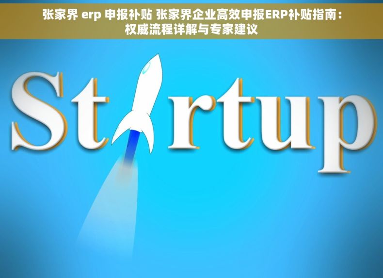 张家界 erp 申报补贴 张家界企业高效申报ERP补贴指南：权威流程详解与专家建议