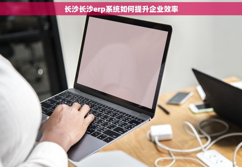 长沙长沙erp系统如何提升企业效率