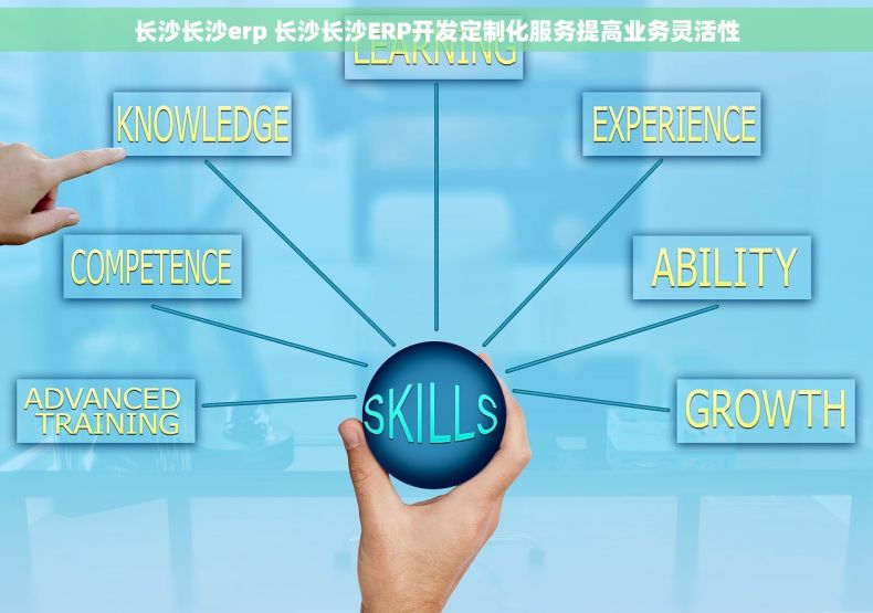长沙长沙erp 长沙长沙ERP开发定制化服务提高业务灵活性