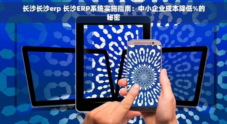 长沙长沙erp 长沙ERP系统实施指南：中小企业成本降低%的秘密