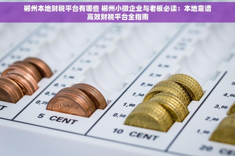 郴州本地财税平台有哪些 郴州小微企业与老板必读：本地靠谱高效财税平台全指南