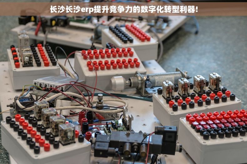 长沙长沙erp提升竞争力的数字化转型利器!