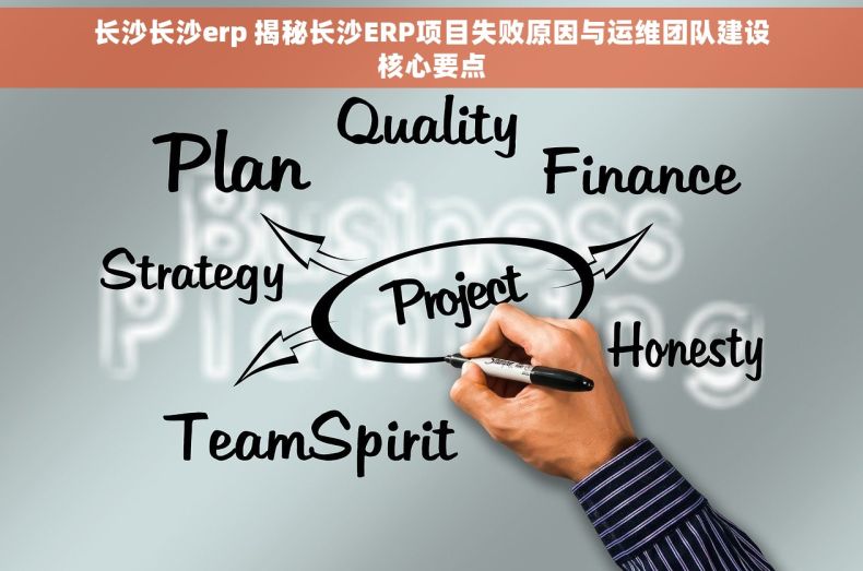 长沙长沙erp 揭秘长沙ERP项目失败原因与运维团队建设核心要点