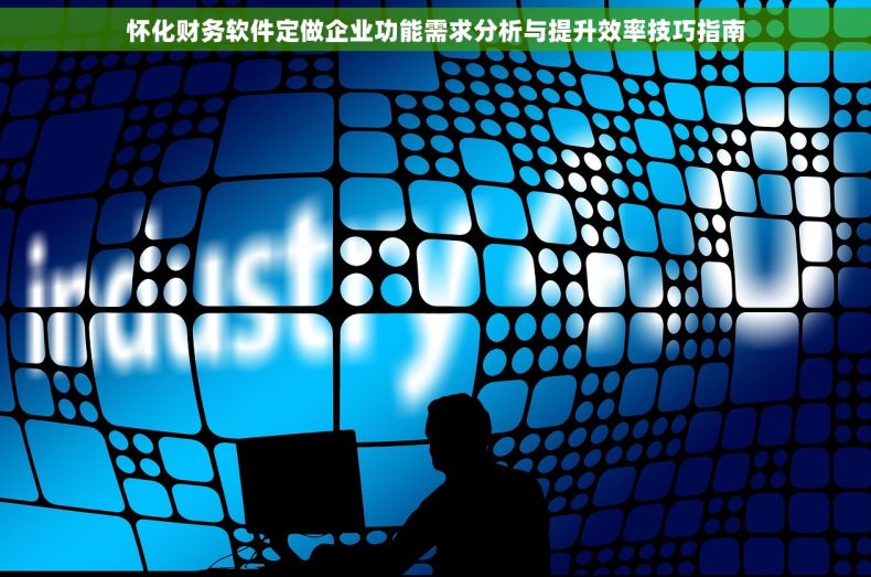 怀化财务软件定做企业功能需求分析与提升效率技巧指南