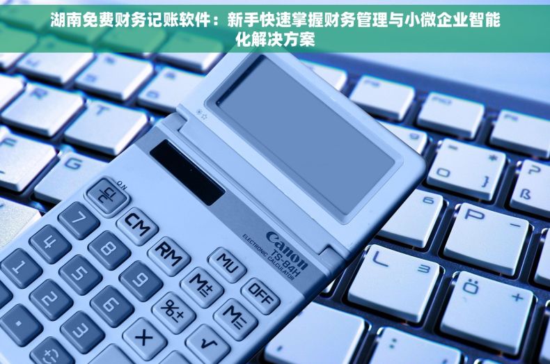 湖南免费财务记账软件：新手快速掌握财务管理与小微企业智能化解决方案