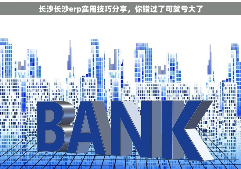 长沙长沙erp实用技巧分享，你错过了可就亏大了