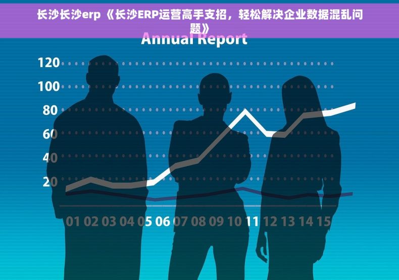 长沙长沙erp 《长沙ERP运营高手支招，轻松解决企业数据混乱问题》