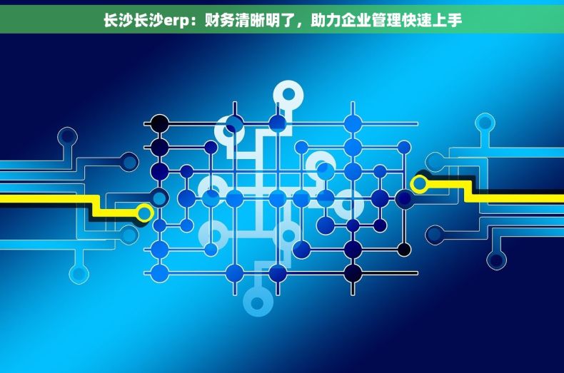长沙长沙erp：财务清晰明了，助力企业管理快速上手
