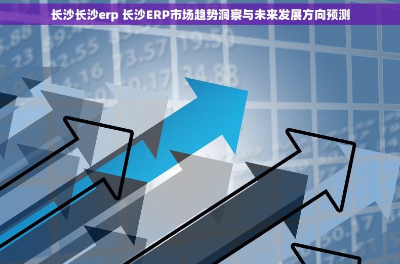 长沙长沙erp 长沙ERP市场趋势洞察与未来发展方向预测