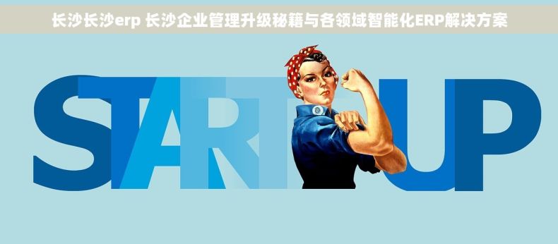 长沙长沙erp 长沙企业管理升级秘籍与各领域智能化ERP解决方案