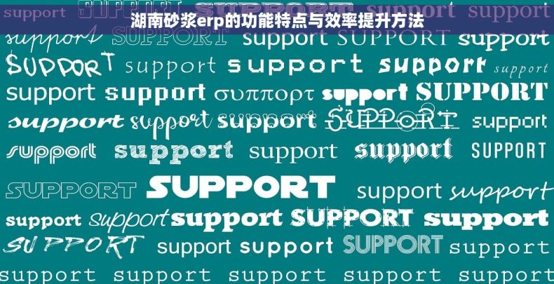 湖南砂浆erp的功能特点与效率提升方法