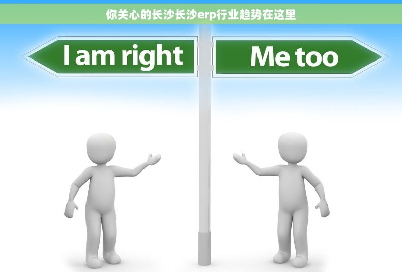 你关心的长沙长沙erp行业趋势在这里