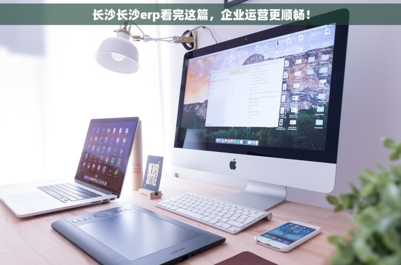 长沙长沙erp看完这篇，企业运营更顺畅！