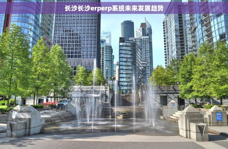 长沙长沙erperp系统未来发展趋势