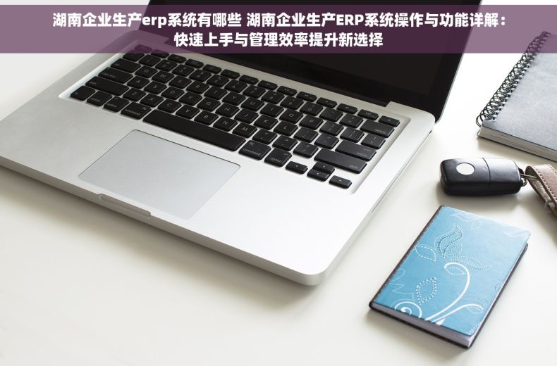 湖南企业生产erp系统有哪些 湖南企业生产ERP系统操作与功能详解：快速上手与管理效率提升新选择
