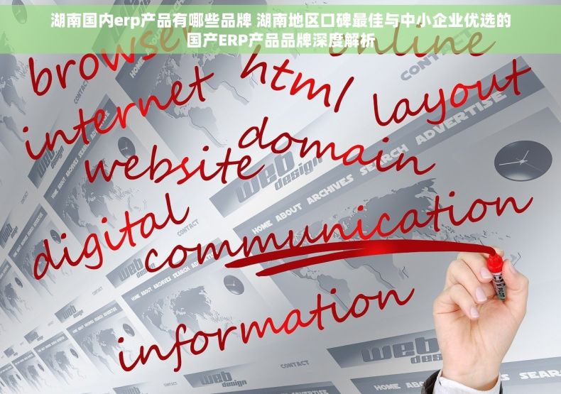 湖南国内erp产品有哪些品牌 湖南地区口碑最佳与中小企业优选的国产ERP产品品牌深度解析