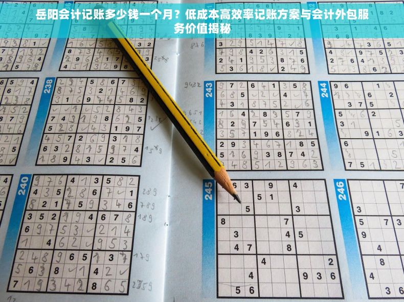 岳阳会计记账多少钱一个月？低成本高效率记账方案与会计外包服务价值揭秘