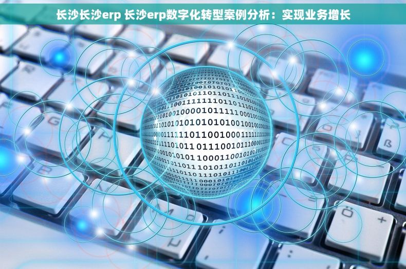 长沙长沙erp 长沙erp数字化转型案例分析：实现业务增长