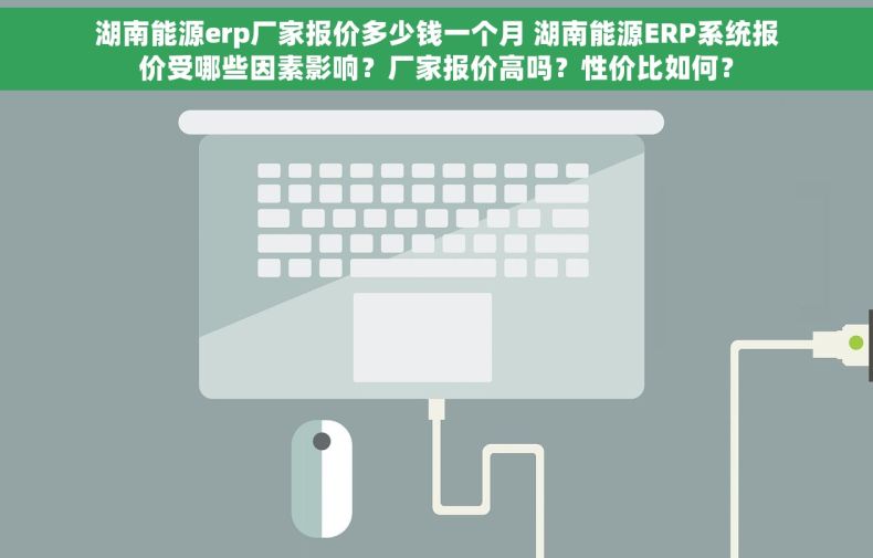 湖南能源erp厂家报价多少钱一个月 湖南能源ERP系统报价受哪些因素影响？厂家报价高吗？性价比如何？
