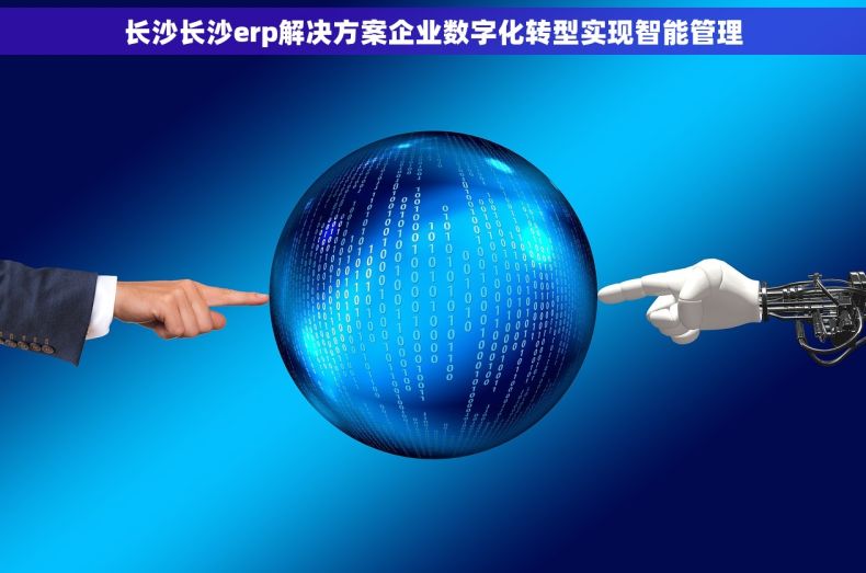 长沙长沙erp解决方案企业数字化转型实现智能管理