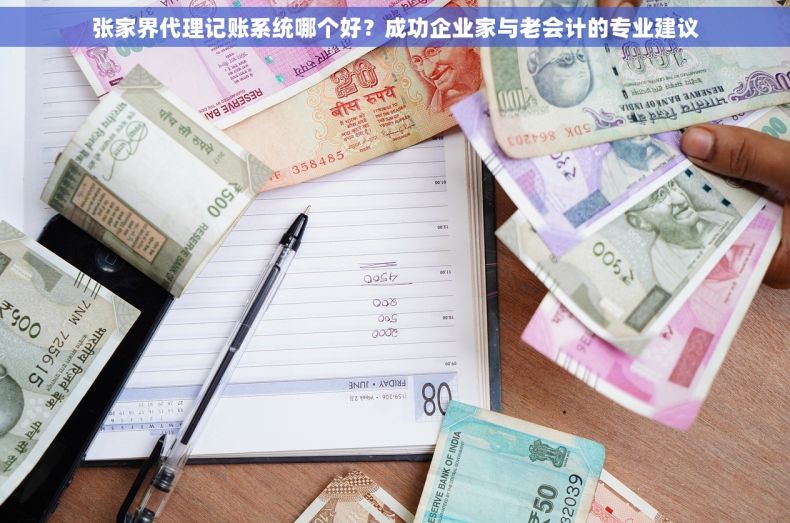 张家界代理记账系统哪个好？成功企业家与老会计的专业建议