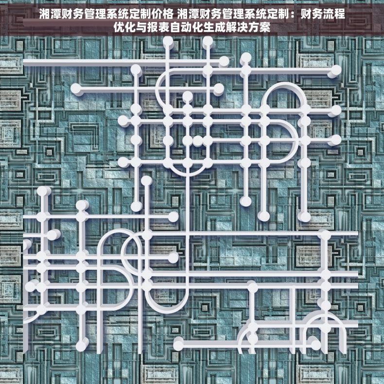 湘潭财务管理系统定制价格 湘潭财务管理系统定制：财务流程优化与报表自动化生成解决方案