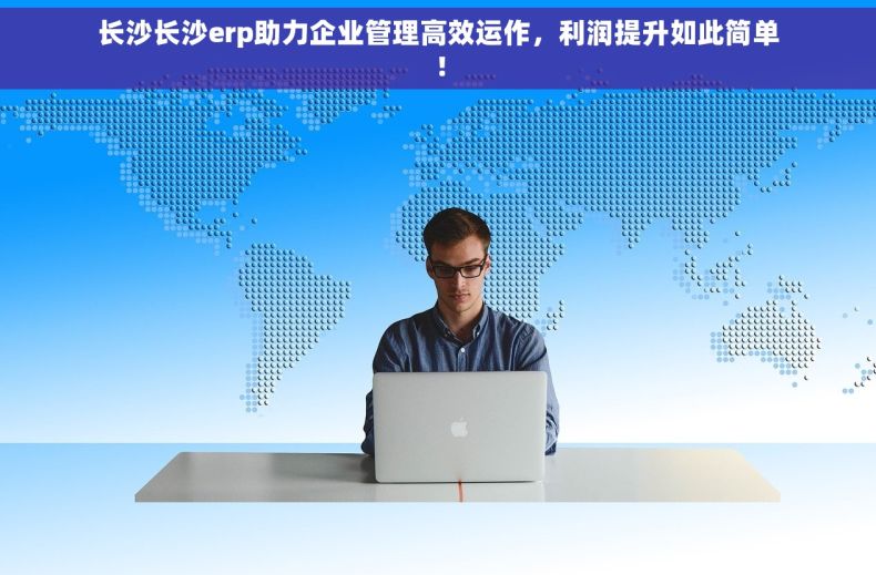 长沙长沙erp助力企业管理高效运作，利润提升如此简单！