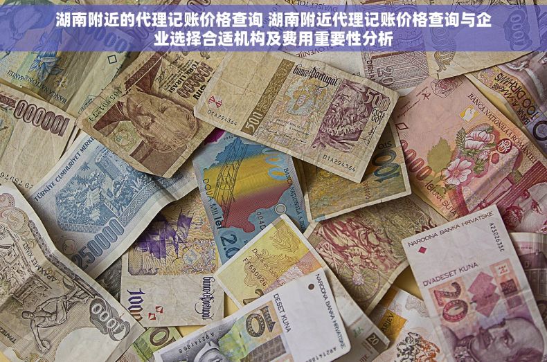 湖南附近的代理记账价格查询 湖南附近代理记账价格查询与企业选择合适机构及费用重要性分析