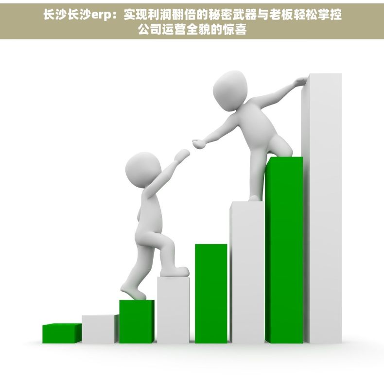长沙长沙erp：实现利润翻倍的秘密武器与老板轻松掌控公司运营全貌的惊喜