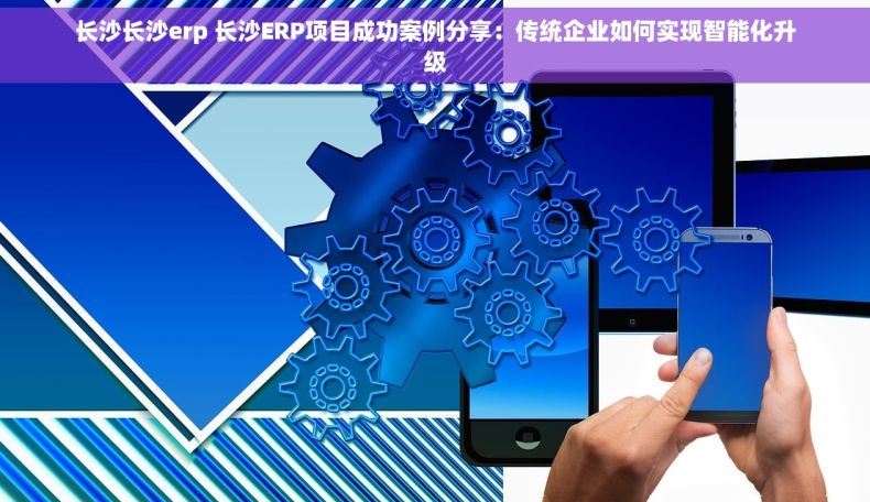 长沙长沙erp 长沙ERP项目成功案例分享：传统企业如何实现智能化升级