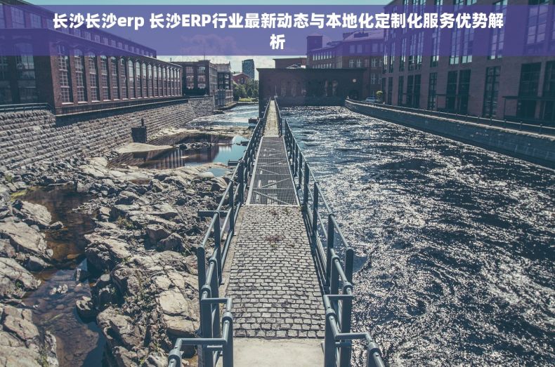 长沙长沙erp 长沙ERP行业最新动态与本地化定制化服务优势解析