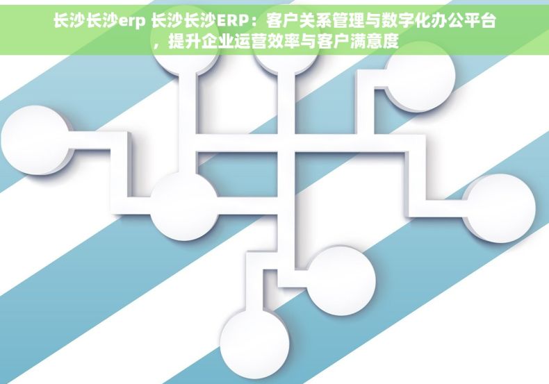 长沙长沙erp 长沙长沙ERP：客户关系管理与数字化办公平台，提升企业运营效率与客户满意度
