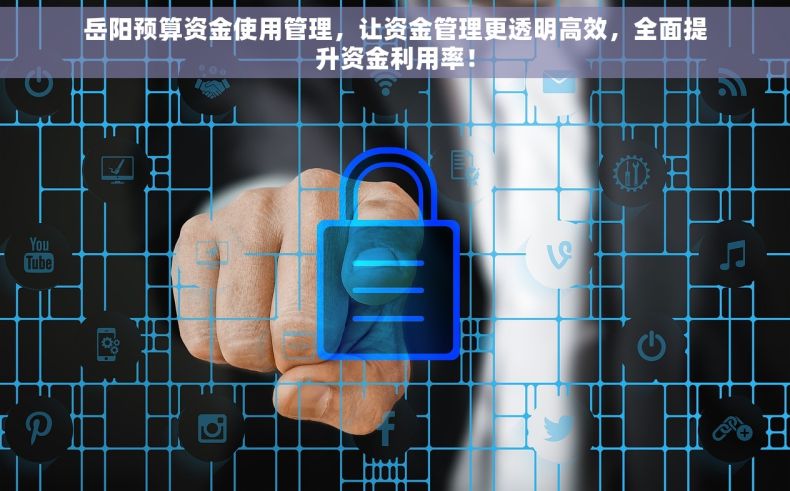 岳阳预算资金使用管理，让资金管理更透明高效，全面提升资金利用率！