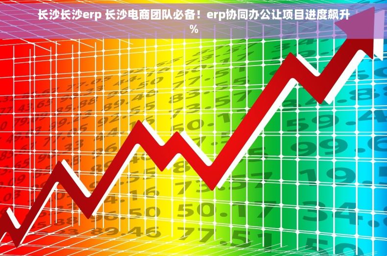 长沙长沙erp 长沙电商团队必备！erp协同办公让项目进度飙升%