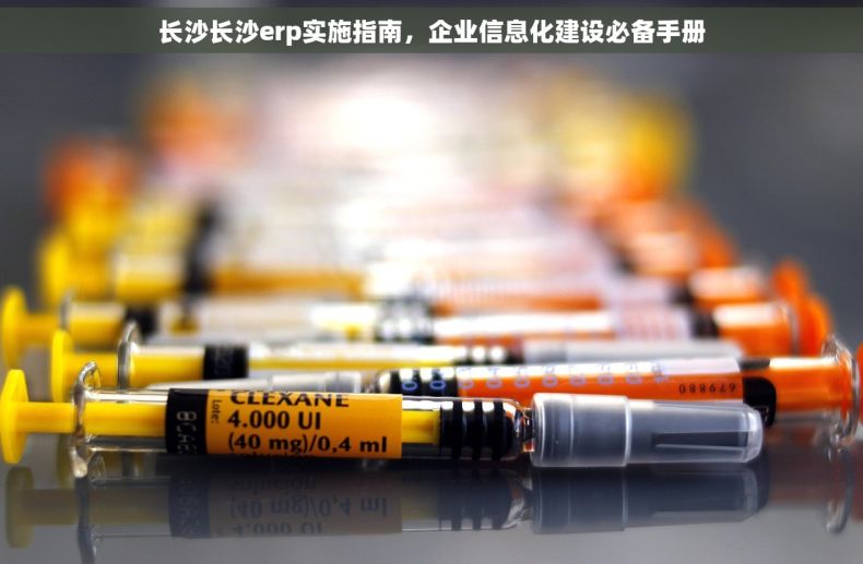 长沙长沙erp实施指南，企业信息化建设必备手册