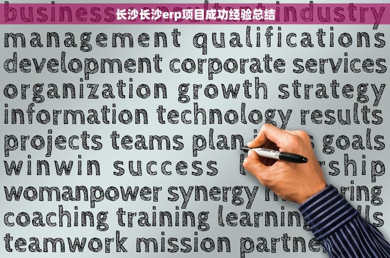 长沙长沙erp项目成功经验总结