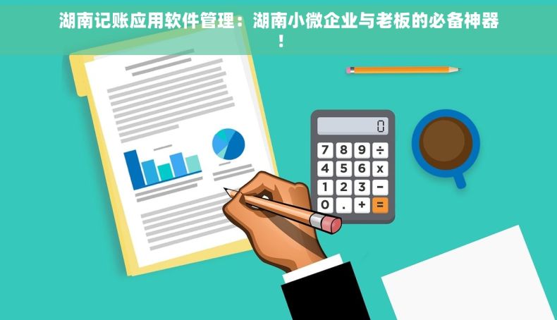 湖南记账应用软件管理：湖南小微企业与老板的必备神器！