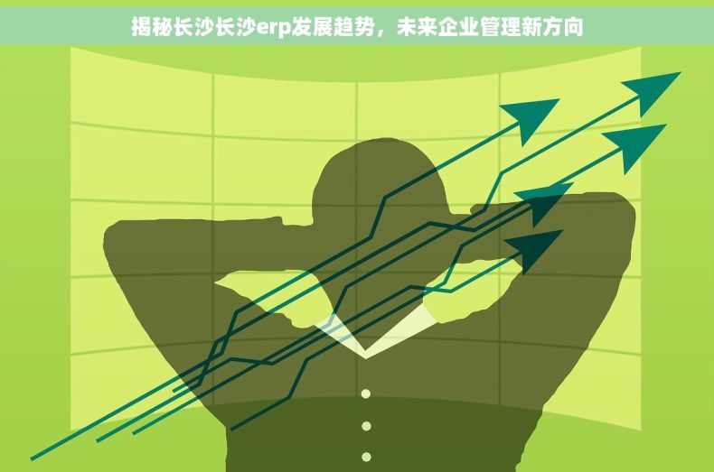 揭秘长沙长沙erp发展趋势，未来企业管理新方向