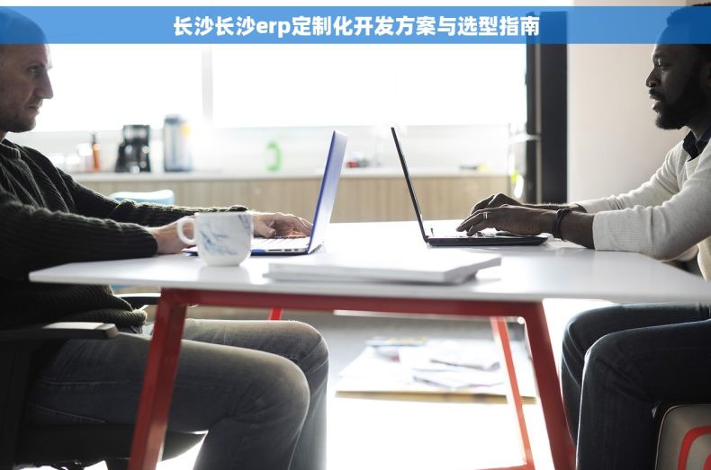长沙长沙erp定制化开发方案与选型指南