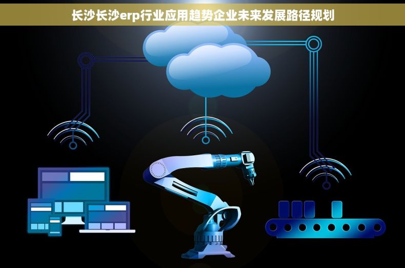 长沙长沙erp行业应用趋势企业未来发展路径规划