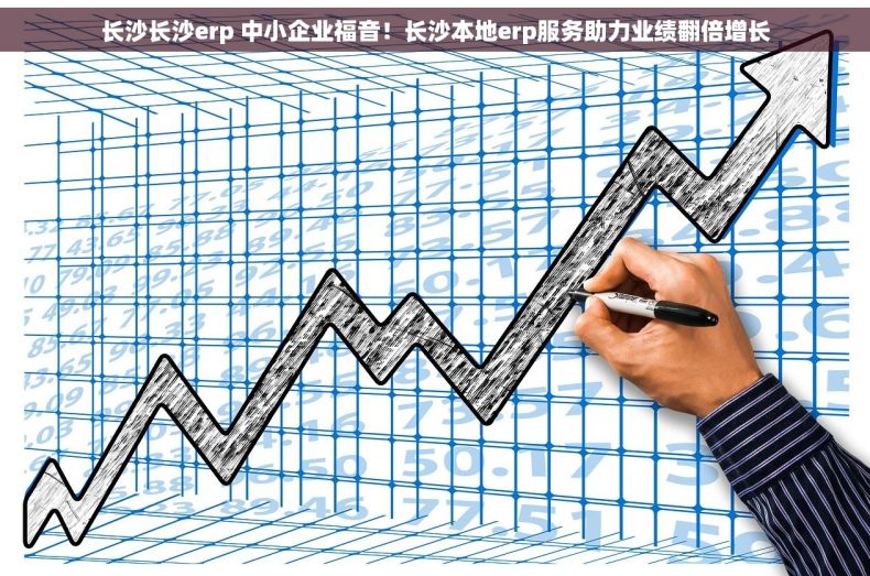 长沙长沙erp 中小企业福音！长沙本地erp服务助力业绩翻倍增长