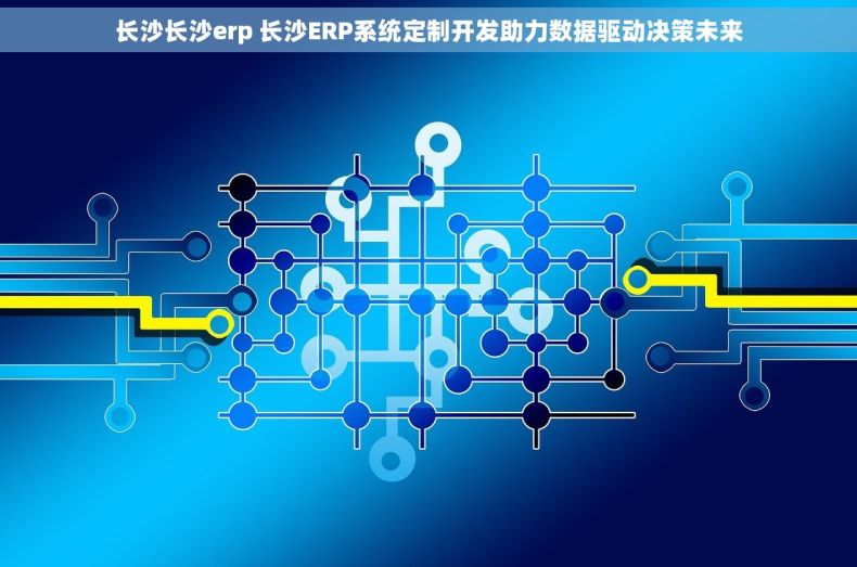 长沙长沙erp 长沙ERP系统定制开发助力数据驱动决策未来