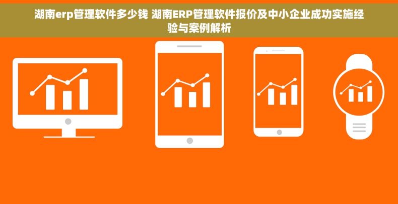 湖南erp管理软件多少钱 湖南ERP管理软件报价及中小企业成功实施经验与案例解析