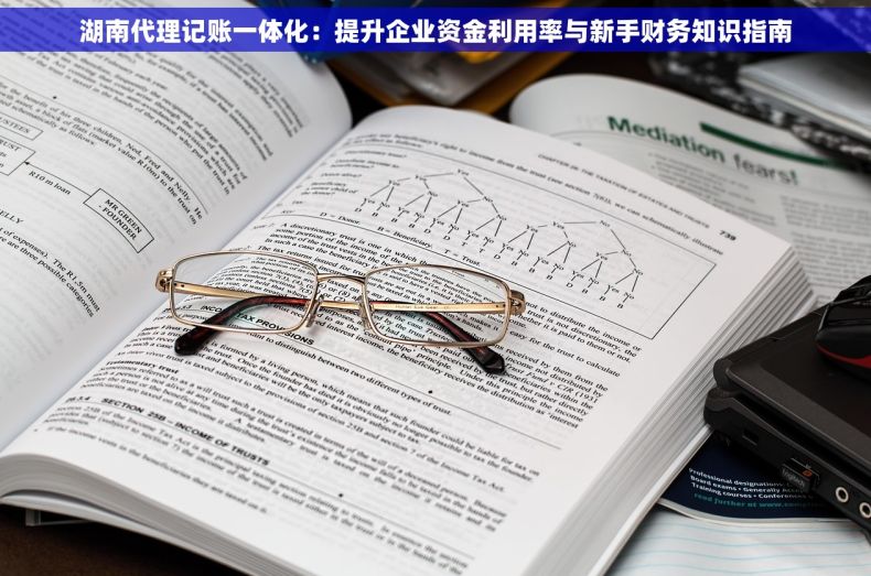 湖南代理记账一体化：提升企业资金利用率与新手财务知识指南